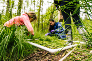 Ŷĳs conducting a plant survey in the wetland